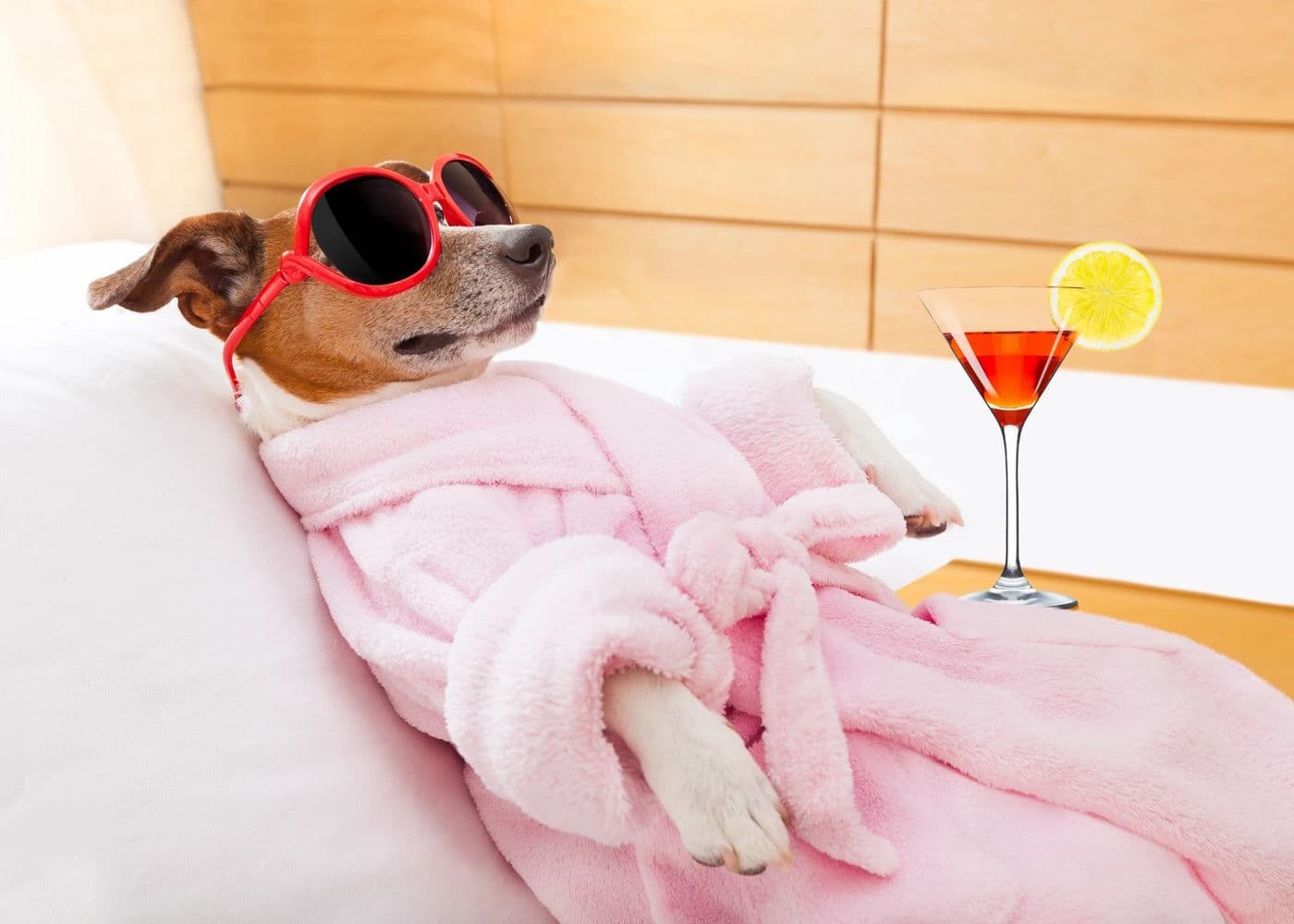 Idromassaggio ozonoterapia per cani